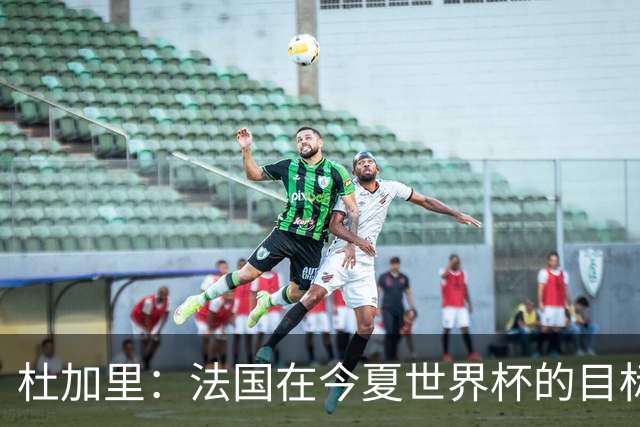 杜加里：法国在今夏世界杯的目标就是夺冠，如果没赢就是失败
